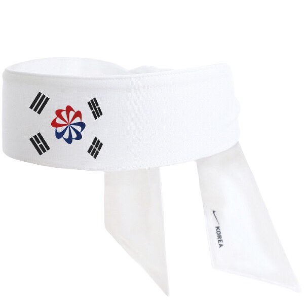 nike flash headband