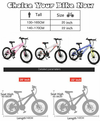Phoenix 20/22 Inch Road Mountain Bike Kid Child Bicycle 21 Speed Dual Disc Brake - Picture 7 of 22
