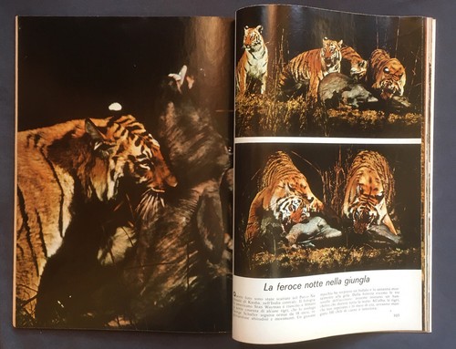 Rivista PANORAMA n.38 novembre 1965 vintage Thé Lipton Té advertising teabag - Foto 7 di 10