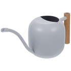 Wooden Handle Watering Can Stainless Steel Long Spout Plant Watering Can Kettle