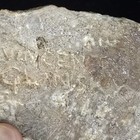 Foto 14 di 16