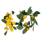 2Pcs Artificial Lemon Garland Summer Hanging Lemon Garland Front Door Fruit