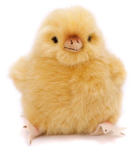 pollito de peluche