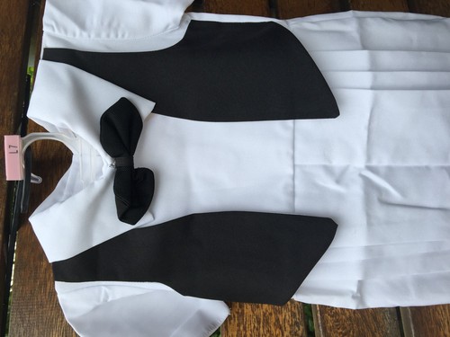 Baby Infant Boys Christening Prop Cute Romper Gentlemen Suits Wedding Outfits - Picture 8 of 12