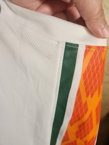 New LeBron James Nike Florida A&M FAMU Rattlers Basketball Jersey Sz 2XL READ!!! - Picture 10 of 10