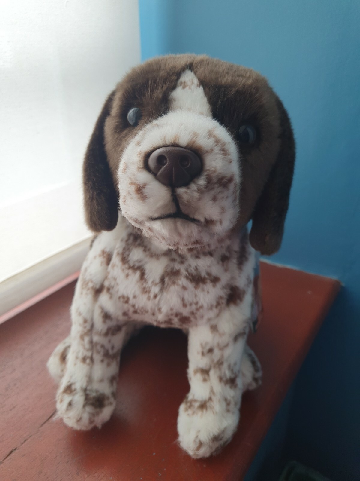 12" German Shorthaired Pointer teddy toys GSP soft toy dogs Shorthaired