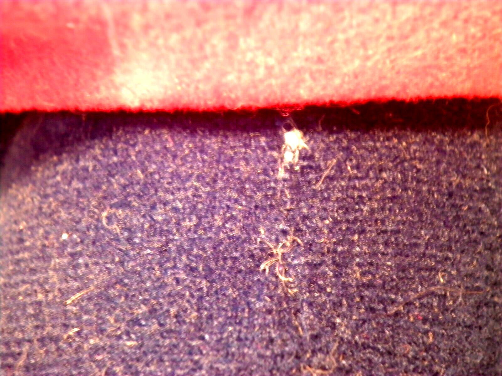 Picture 12 of 12