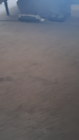 Video 1 of 1