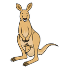 Kangaroo Kloset