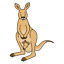 Kangaroo Kloset