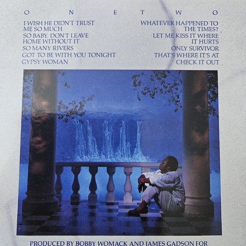 Bobby Womack - So Many Rivers - gebrauchte Vinyl Schallplatte - MCF 3282 - Bild 3 von 9