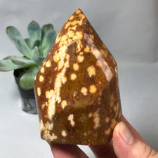 481g TOP MADAGASCAR NATURAL OCEAN JASPER QUARTZ CRYSTAL Freeform The torch g6642