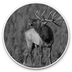 2 x Vinyl Stickers 25cm (bw) - Beautiful Wild Elk Deer  #37337