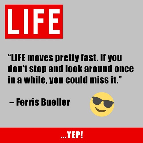 1955 Schlitz Beer Hot Dogs Mustard Vintage Print Ad Milwaukee Wisconsin Famous - Picture 8 of 8