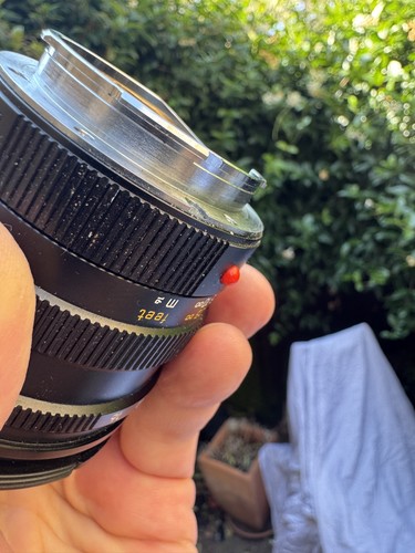 Leica M 50mm F1.4 Summilux Pre-ASPH the famous bokeh queen. - Picture 7 of 7