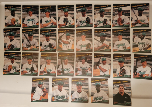 ¡Juego de 29 cartas Multi Ad West Tennessee Diamond Jaxx 1998! RARO! Ray King/entrenadores - Imagen 1 de 9