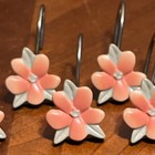 12pc Set Flowers Bathroom Shower Curtain Hooks Poppies By Stephanie Ryan Pink