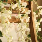 Picture 5 of 6