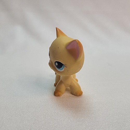 Littlest Pet Shop #339 Orange Ginger Shorthair Cat Blue Dot Eyes LPS Light Marks - Imagen 3 de 10