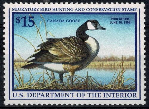 1997 USA HUNTING PERMIT - CANADA GOOSE DUCK - 1 V. S.G. MF0221 - Picture 1 of 2