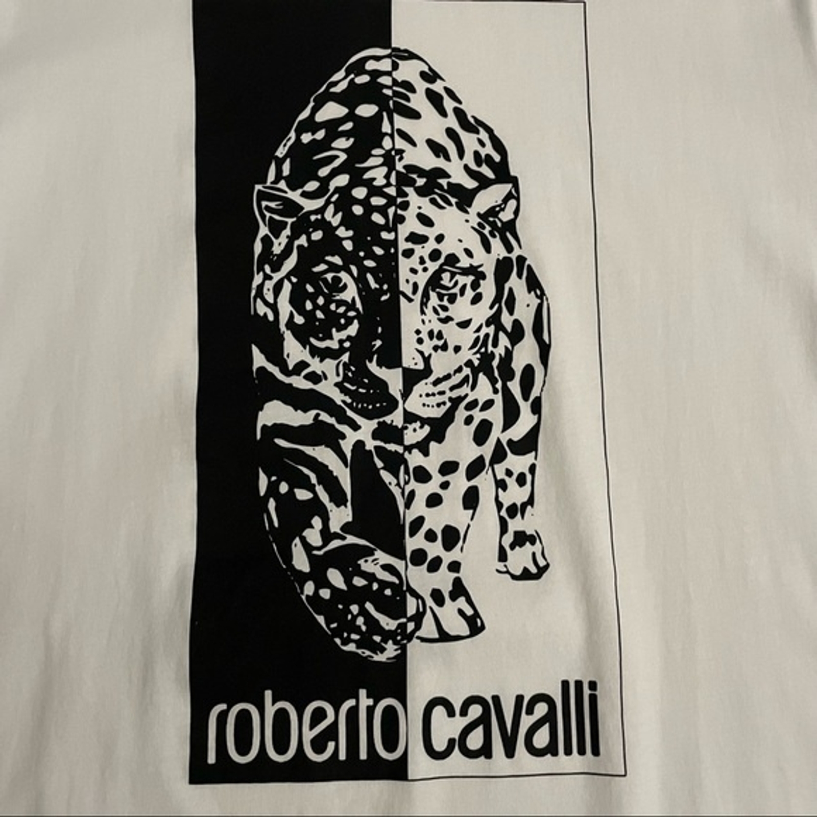 Picture 3 of 14