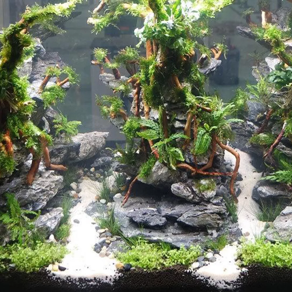 Picture 5 of 11