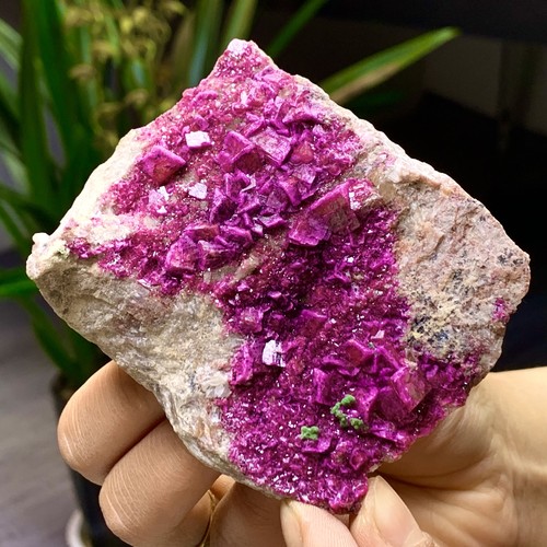 207G Cobalto Naturale Calcite Granulosità Cristallo Minerale Esemplare Guarigione-Congo - Foto 16 di 24