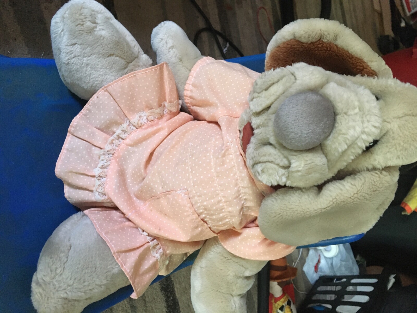 ganz bros wrinkles dog 1981