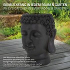 Bild 6 von 8