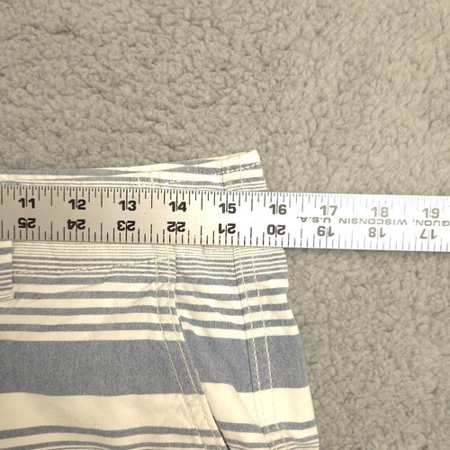 American Eagle Mens Classic Fit Shorts 30 Blue White Striped Cotton Casual - Picture 6 of 12