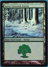 Snow-Covered Forest FOIL Coldsnap HEAVILY PLD Basic Land CARD (413127) ABUGames