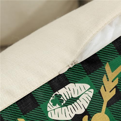 St Patricks Day Pillow Covers 18x18 Shamrocks St Patricks Day Decorations - Picture 6 of 7