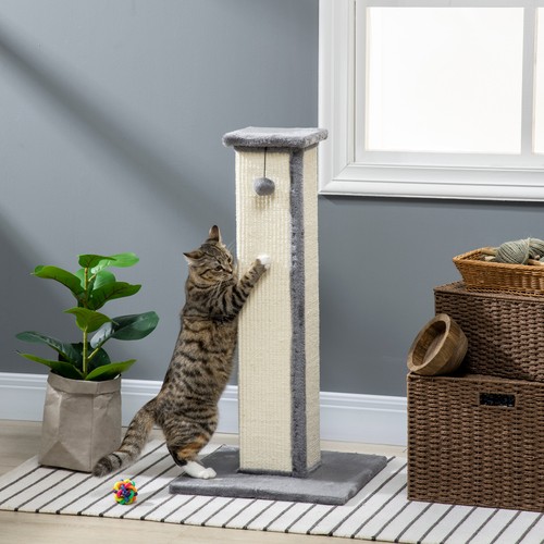 PawHut 81cm Cat Scratching Post w/ Sisal Rope, Hanging Ball, Soft Plush - Grey - Picture 2 of 12