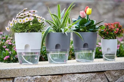 Modern Plastic Planter Indoor Self-Watering Pots Containers Houseplant For Herbs - Picture 8 of 26