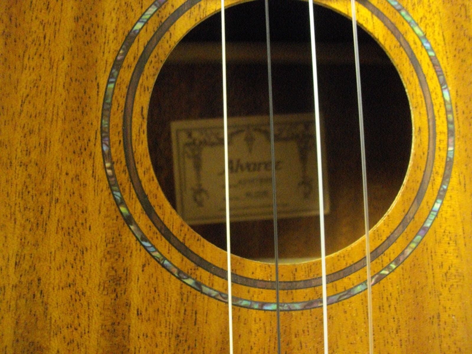 Picture 5 of 5