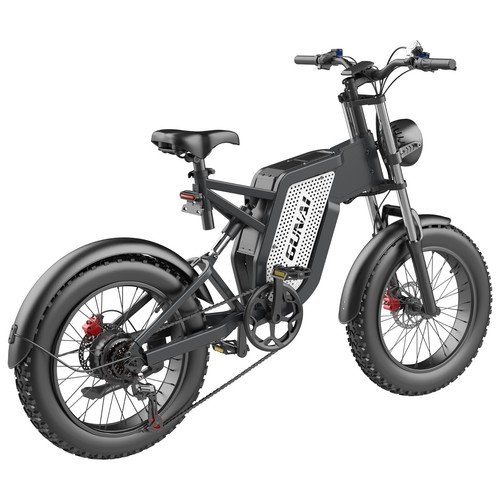 1000W 48V25AH Fat tire dirt elektrische fiets, professionele shimano 7 speed - Bild 8 von 10