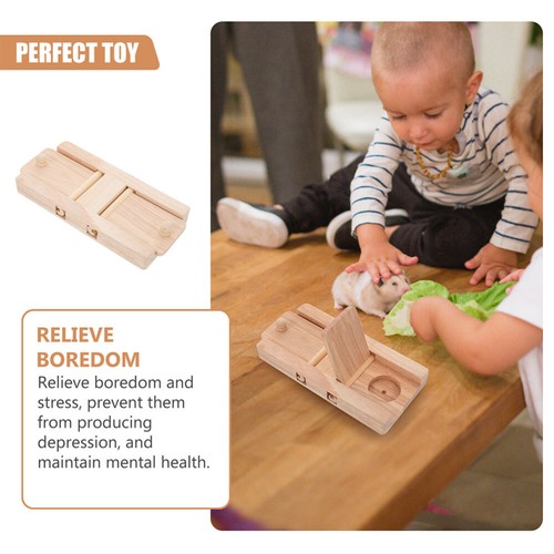 2 PCS Foraging Interactive Toys Child Toddler Hamster Supply Decor - Picture 5 of 12