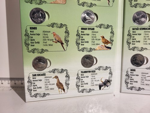 (L1085) 2020 Turkey Anatolian Bird Series 12 x 1 Kurus , Uncirculated - Picture 6 of 9