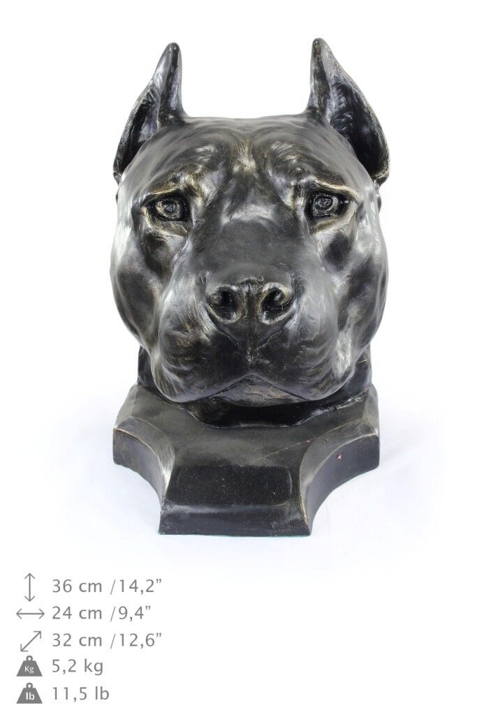 American Staffordshire Terrier dog head resin figurine, high quality, Art Dog American Staffordshire Terrier dog head resin figurine, high quality, Art Dog