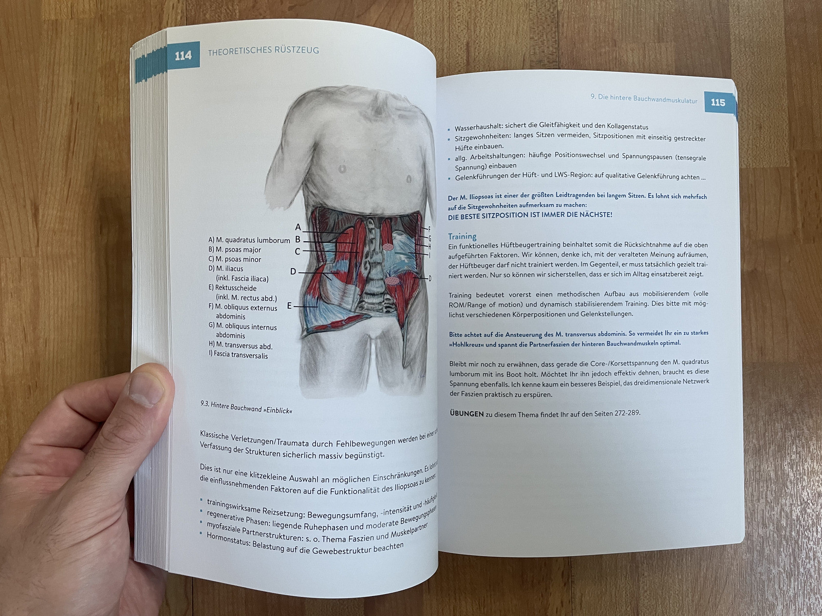 Thumbnail - Praktische Funktionelle Anatomie Von Nici Mende (2021, Taschenbuch) -
