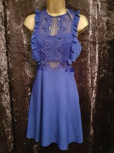 Royal Blue Lace Skater Dress