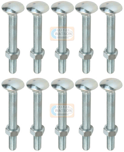 M10 Cup Square Carriage Bolt Hex Nut Timber Dome Head Coach Screw Zinc Plated - Picture 8 of 11