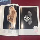Picture 3 of 7