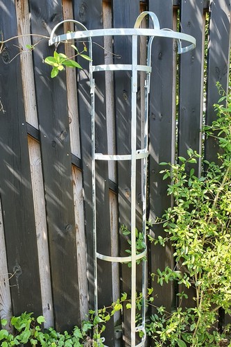 Rosenschirm Höhe: 180cm Metall Rankhilfe Rankgerüst Zink Rankschirm Eisen - Bild 2 von 5
