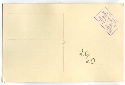 Foto postal Cochem an der Mosel, oso polar con niño alrededor de 1955 - Imagen 2 de 2