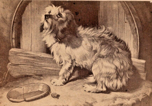 Scared and Hungry Terrier Dog 2 Faint Inscriptions 1800s Album Filler Art CDV - Picture 5 of 6