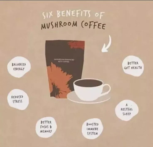 4 PACK OF 2025 Mushroom Coffee Organic Coffee 30 Serving 180g FREE SHIPPING - Picture 3 of 6