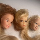 Bild 8 von 12