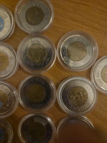 Canada 2024, $2 Celebrating Inuit Nunangat, Coloured Coin, Discovery Of Insulin. - Picture 6 of 8