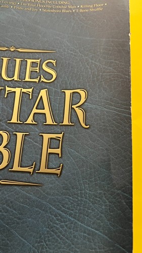BLUES GUITAR BIBLE ~ Gitarre bespielte Versionen ~ PB 240 Seiten ~ 35 Songs ~ GUT - Bild 12 von 15